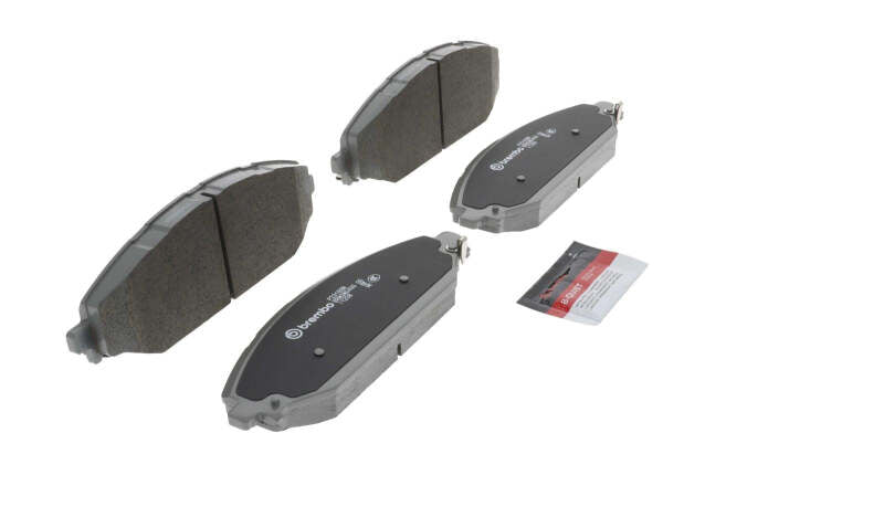 Photo - Close Up